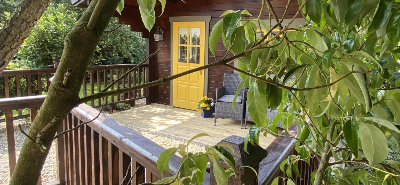 Beaufort House Accomodation Ню Рос Екстериор снимка